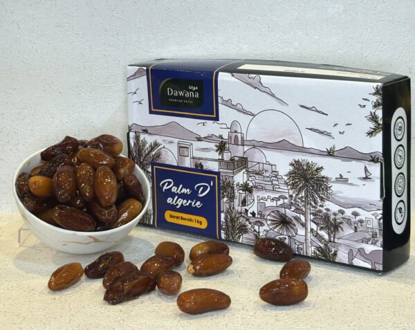 Kurma Dawana Palm D' Algerie