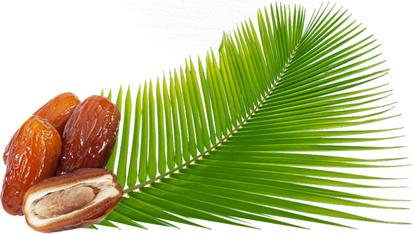 kurmaberdaun